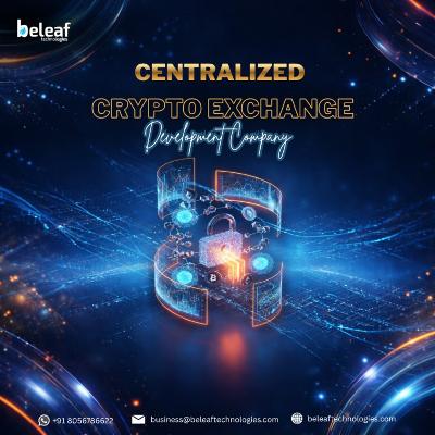 Business Opportunity: Centralized Exchange Development Insights